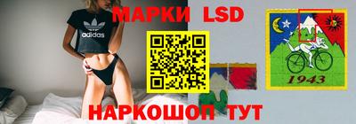 твердый Будённовск