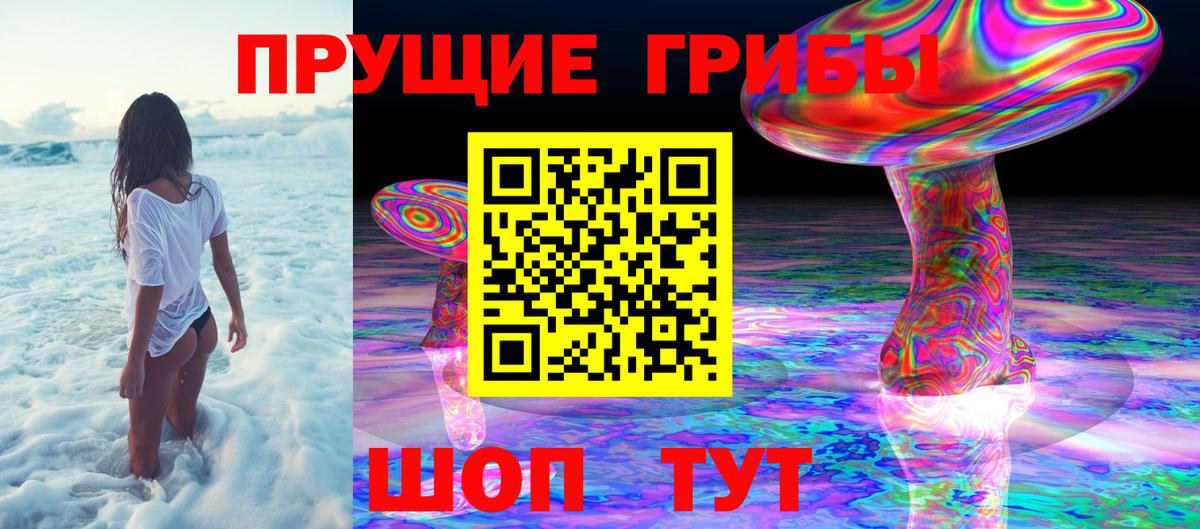 Галлюциногенные грибы GOLDEN TEACHER  Вход с VPN  Галлюциногенные грибы Magic Shrooms  где купить наркоту  Электросталь 